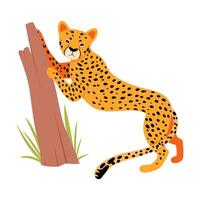 Jaguar near a tree trunk. illustration on a white background. vector