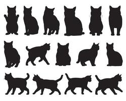 Cats silhouette white background vector