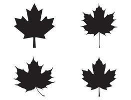Canadian maple leaf silhouette white background vector