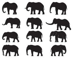 Elephant silhouette white background vector