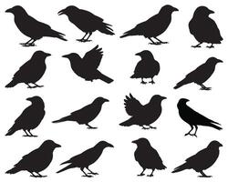 Crow silhouette white background vector