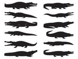 Crocodile silhouette white background vector