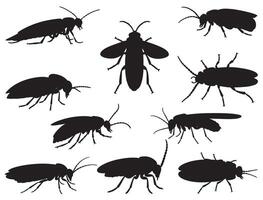 Firefly silhouette white background vector