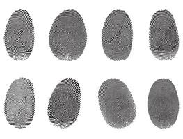 Fingerprints silhouette white background vector