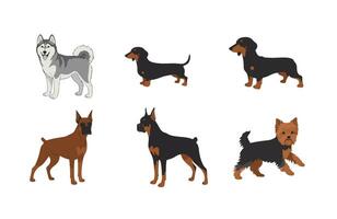 Set Dog Bundle Cute Art vector
