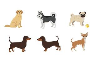 Loyal Dog Set Design vector