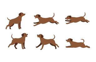 Set Dog Bundle Happy Pet vector