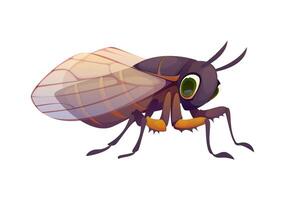 Cartoon cicada insect character with large eyes vector