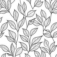 Minimalist Line Art of Botanical Leaves in Monochrome vector