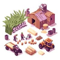 Isometric Candy and Sweets Factory Scene vector