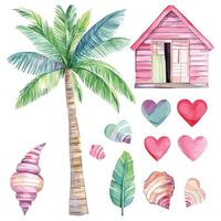 Decorative Tropical Elements with Shells, Palm Leaves, and Abstract Shapes vector