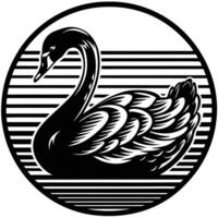 An illustration showing black swans in various poses vector