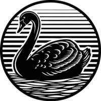 A black swan in a variety of positions vector