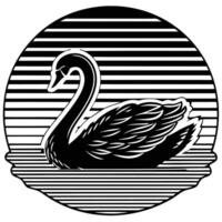 An example of a black swan in various poses vector