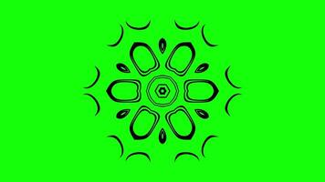 Mesmerizing animated mandala with intricate symmetrical loops video