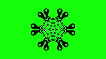 Geometric Floral Design with Abstract Patterns video