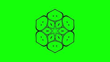 Animated floral geometric design with evolving patterns video
