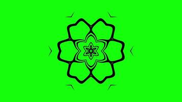 Abstract animation with floral symmetrical patterns video