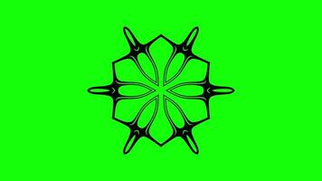 Dynamic animated mandala with bold symmetrical patterns video