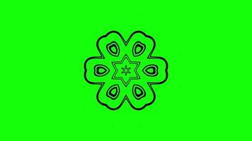 Hexagonal Star Design with Inner Leaf Patterns video