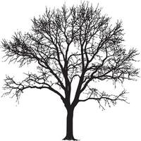 a black and white illustration of a tree vector