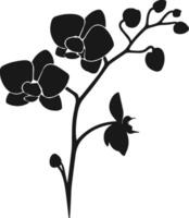 silhouette of branch with orchid flowers on a white background vector