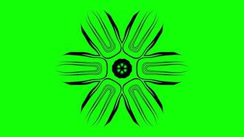 Floral Abstract Motion - Radial Symmetry with Dynamic Ornamental Patterns video