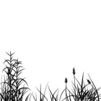 meadow silhouette with reeds vector