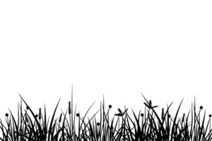 meadow silhouette with different flower vector