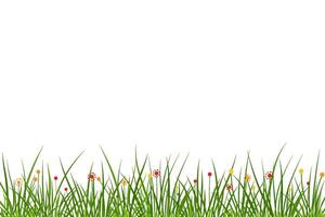 grass with colorful flowers vector