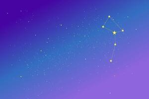 night sky with star constellation vector