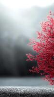 Vibrant red tree stands out against a misty gray background in tranquil setting photo