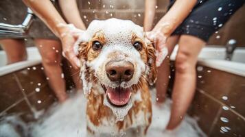 Happy dogs enjoying a bath with their owners in a cozy bathroom setting photo