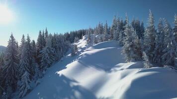Flying over the forest and mountains in winter. Snowy tree branch in a view of the winter forest. Aerial footage video