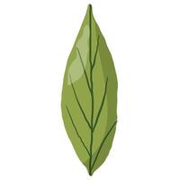 Hand-drawn green leaf illustration with natural veins and organic texture. Perfect for botanical designs, nature themes, eco-friendly projects, herbal branding, and tropical decorations vector