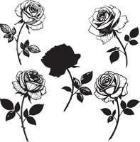 Black and White Rose Collection for Design Projects vector