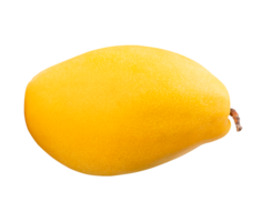 Single ripe yellow mango in horizon isolated with clipping path in file format png
