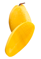 A vertical photo of single ripe yellow mango with half and water drops in stack isolated with clipping path in file format png