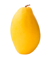 Single ripe yellow mango isolated with clipping path in file format png