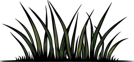 color illustration of grass with black outline without background vector