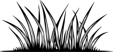 black silhouette of grass without background vector