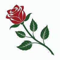 a red rose with leaves on a white background vector