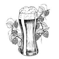 Glass of beer with cap of foam and common hop. Graphic ink ale illustration, organic Humulus lupulus branch with leaves and cones isolated on background. Hand drawn line sketch. For designers vector