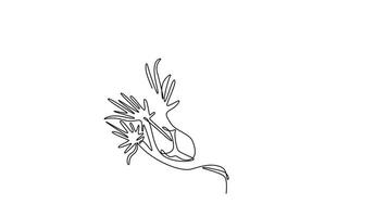 Self drawing animation of single line draw quiver tree forest. Decorative kokerboom woud tree for national park logo icon. Tour and travel vacation concept. Continuous line draw. Full length animated video