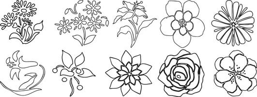 a set of flowers that are drawn in black and white vector