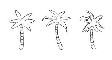 Crayon pencil palm or coconut trees hand drawn chalk element set vector