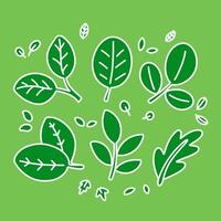 A simple cartoon image of bright green leaves with white outlines, a green background, and a plant with bright leaves that is consistent with global warming and environmental protection. vector