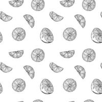 Seamless pattern of Lemon or lime slice. illustration. Sketch hand drawn. Half tropical citrus fruit. Design for menu, package, cosmetic, textile, fabric vector