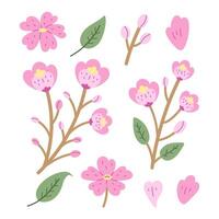 Sakura Flower Branch Leaf Petals Set vector
