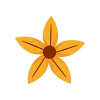 Star anise icon over white background. colorful design. Flover illustration. vector